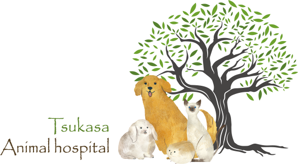 Tsukasa Animal hospital